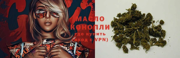 apvp Пестово