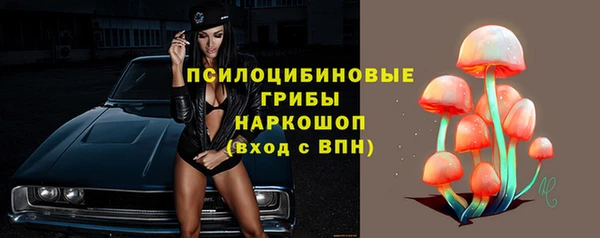 амф Пересвет
