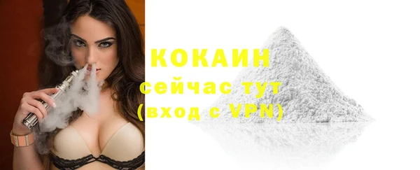 ПСИЛОЦИБИНОВЫЕ ГРИБЫ Осинники