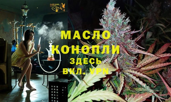 амф Пересвет
