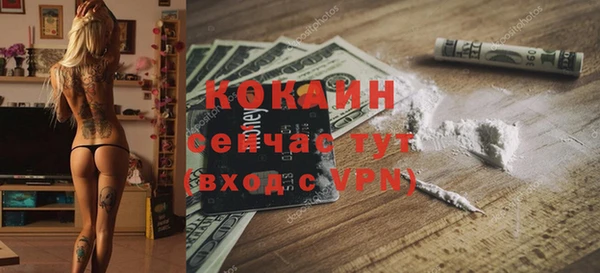 амф Пересвет