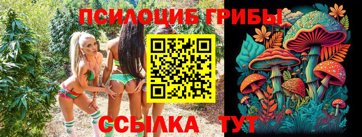 Галлюциногенные грибы MAGIC MUSHROOMS Балабаново