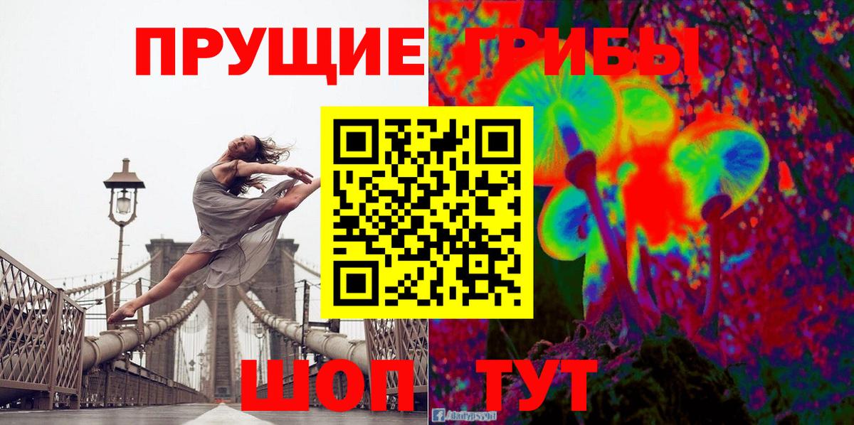 где купить наркоту  Псилоцибиновые грибы Psilocybe  Вход с VPN  Балабаново 
