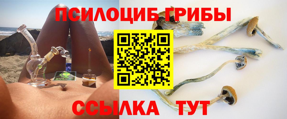 Псилоцибиновые грибы MAGIC MUSHROOMS Балабаново